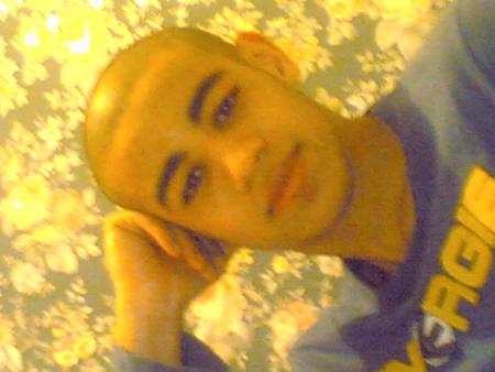 bogosse