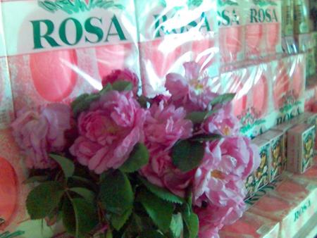 atlas rosa boutique
